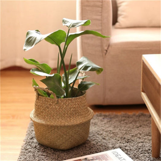 Cache-pot en Osier A Fleur de Pot